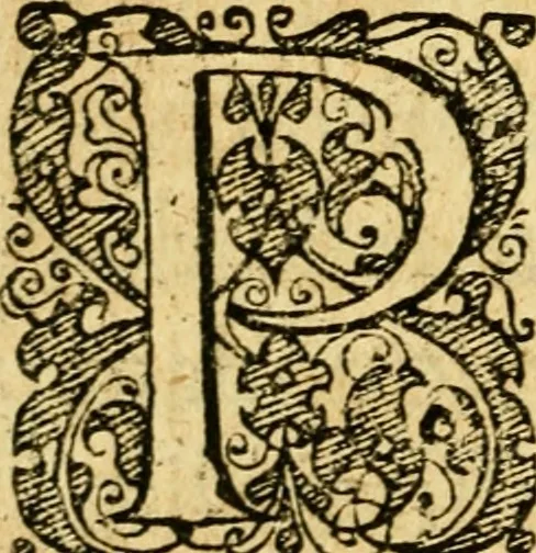 An illustration from Baldi Angeli Abbatii ... De admirabili viperae natura, & de mirificis ejusdem facultatibus liber, 1603, leaf 61