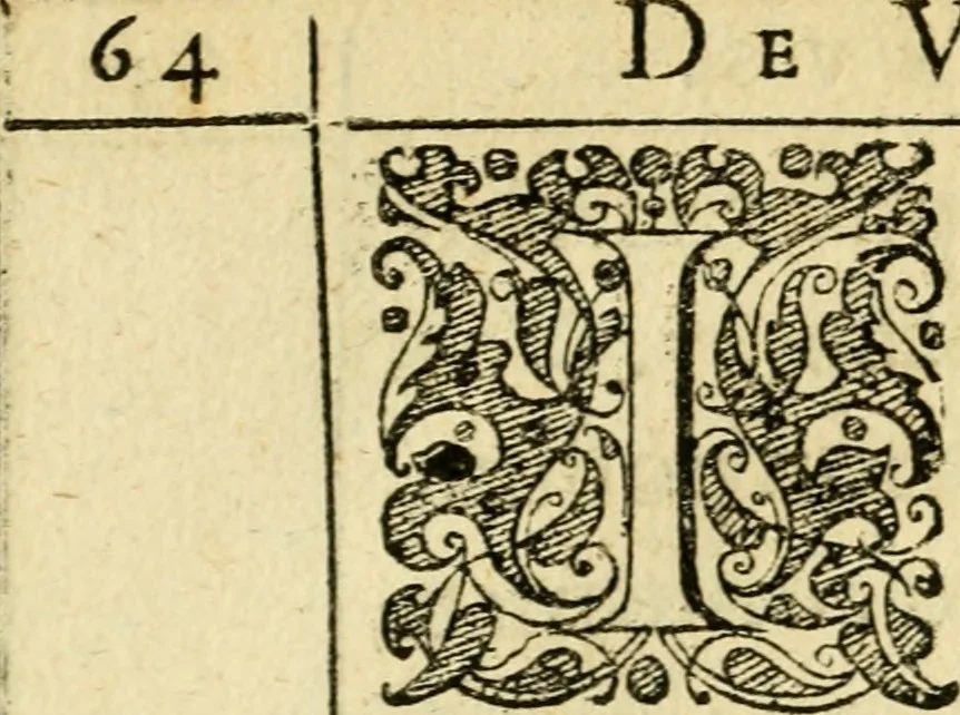 An illustration from Baldi Angeli Abbatii ... De admirabili viperae natura, & de mirificis ejusdem facultatibus liber, 1603, leaf 83