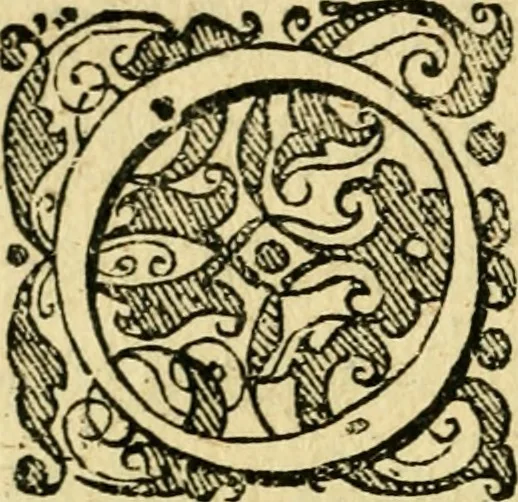 An illustration from Baldi Angeli Abbatii ... De admirabili viperae natura, & de mirificis ejusdem facultatibus liber, 1603, leaf 91