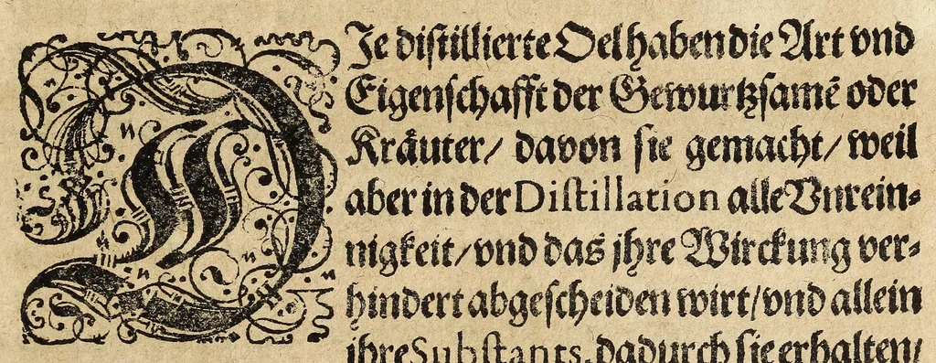 An illustration from Balduini Clodii Weyland gewesenen Fürstlichen Marggrävischen zu Durlach...LeibMedici Officina Chymica. Das ist: Künstliche Spagyrischen Zuzubereitung der animalischen, vegetabilischen, metallischen vnd mineralischen Medicamenten, sampt deroselben heylsamen Gebrauch vnd Würckung zur Gesundheit Menschliches Leibes. Sampt beygefügtem Consilio, wie man sich in pestilentzischen Läufften verhalten soll, 1620, leaf 13