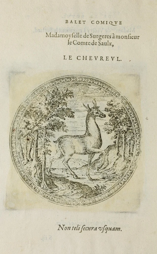 An illustration from Balet comiqve de la royne : faict avx nopces de monsieur le duc de Ioyeuse & madamoyselle de Vaudemont sa soeur, 1582, leaf 162