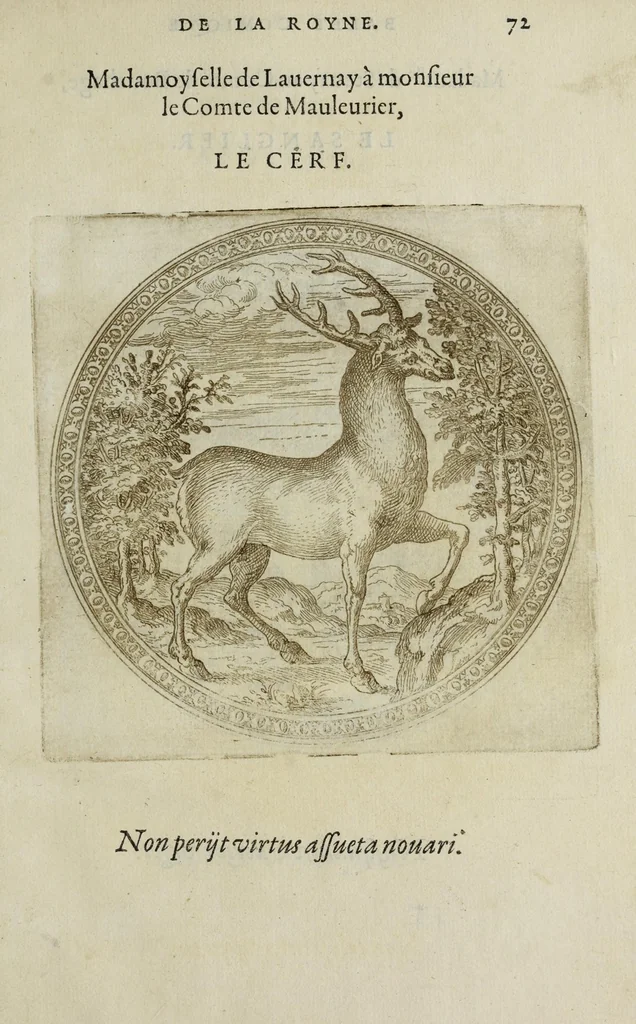 An illustration from Balet comiqve de la royne : faict avx nopces de monsieur le duc de Ioyeuse & madamoyselle de Vaudemont sa soeur, 1582, leaf 163