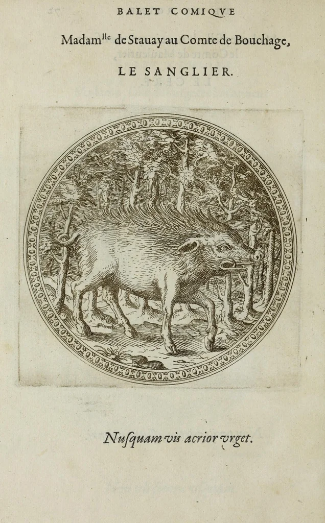 An illustration from Balet comiqve de la royne : faict avx nopces de monsieur le duc de Ioyeuse & madamoyselle de Vaudemont sa soeur, 1582, leaf 164