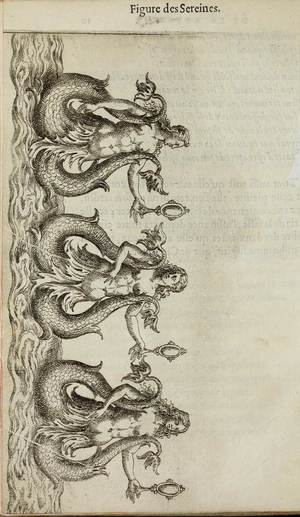 An illustration from Balet comiqve de la royne : faict avx nopces de monsieur le duc de Ioyeuse & madamoyselle de Vaudemont sa soeur, 1582, leaf 40