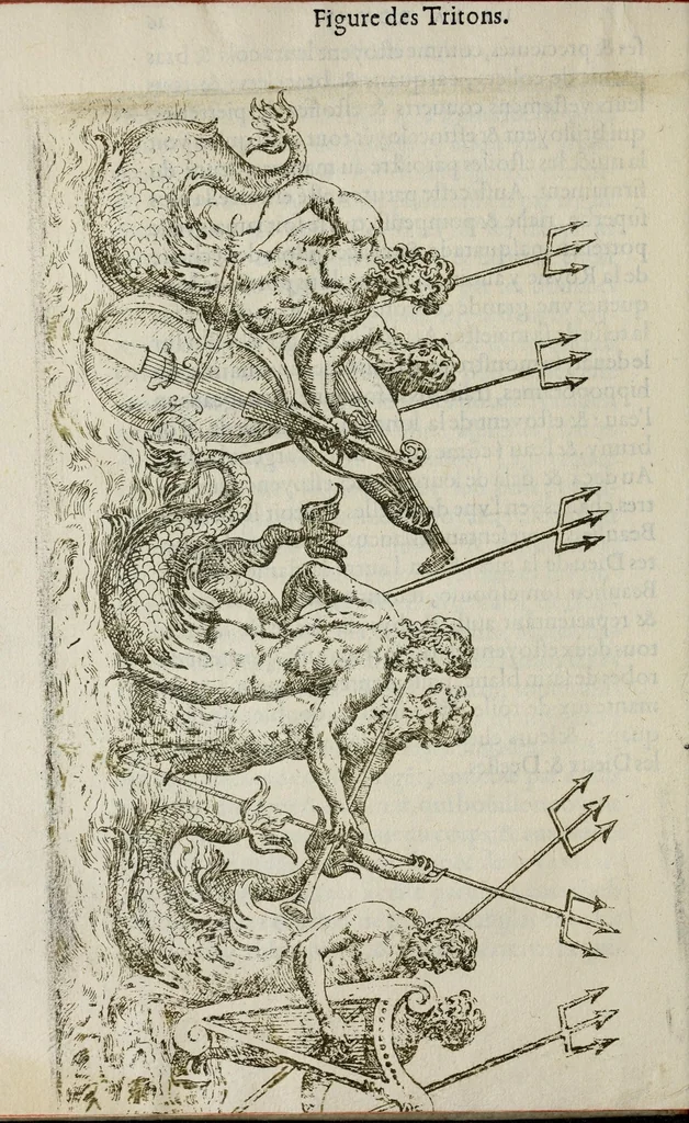 An illustration from Balet comiqve de la royne : faict avx nopces de monsieur le duc de Ioyeuse & madamoyselle de Vaudemont sa soeur, 1582, leaf 52