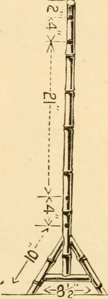An illustration from Bamboo work; comprising the construction of furniture, household fitments, and other articles in bamboo, 1901, leaf 150