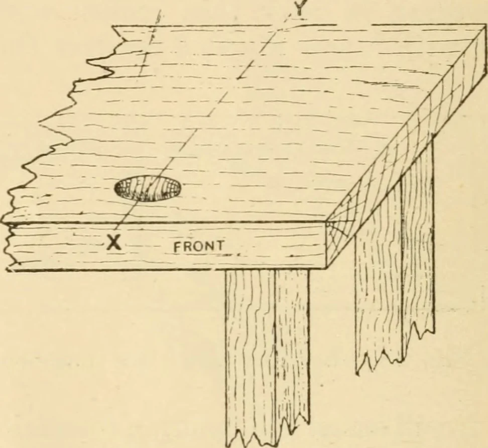 An illustration from Bamboo work; comprising the construction of furniture, household fitments, and other articles in bamboo, 1901, leaf 31
