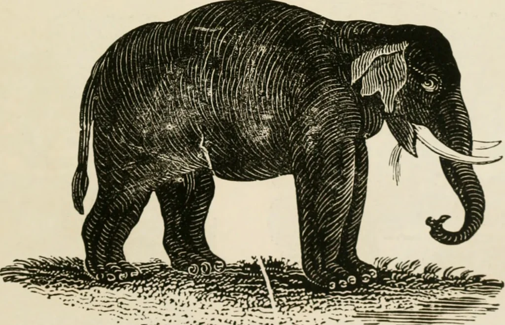 An illustration from Banbury chap books and nursery toy book literature [of the XVIII and early XIX centuries], 1890, leaf 112