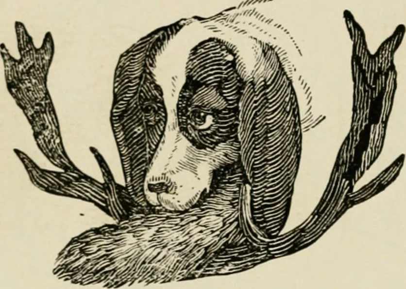 An illustration from Banbury chap books and nursery toy book literature [of the XVIII and early XIX centuries], 1890, leaf 113