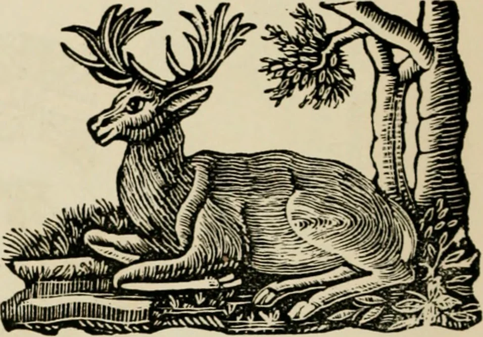 An illustration from Banbury chap books and nursery toy book literature [of the XVIII and early XIX centuries], 1890, leaf 113