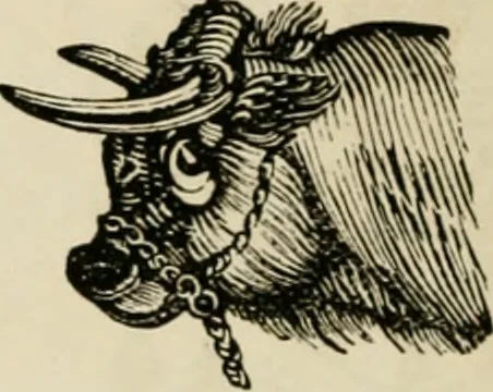 An illustration from Banbury chap books and nursery toy book literature [of the XVIII and early XIX centuries], 1890, leaf 113