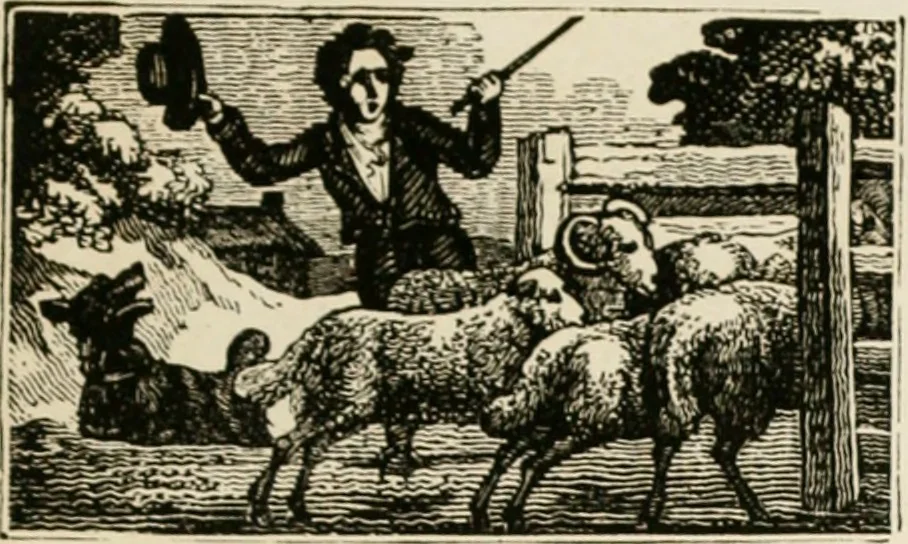 An illustration from Banbury chap books and nursery toy book literature [of the XVIII and early XIX centuries], 1890, leaf 116