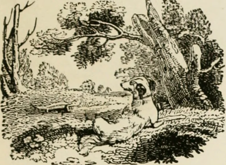An illustration from Banbury chap books and nursery toy book literature [of the XVIII and early XIX centuries], 1890, leaf 128