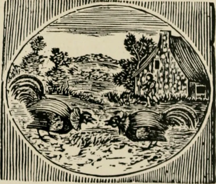 An illustration from Banbury chap books and nursery toy book literature [of the XVIII and early XIX centuries], 1890, leaf 21