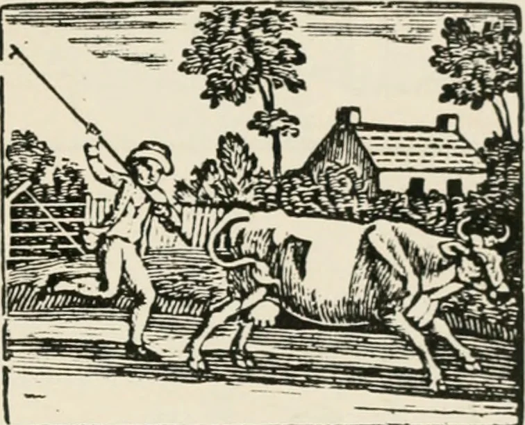 An illustration from Banbury chap books and nursery toy book literature [of the XVIII and early XIX centuries], 1890, leaf 22