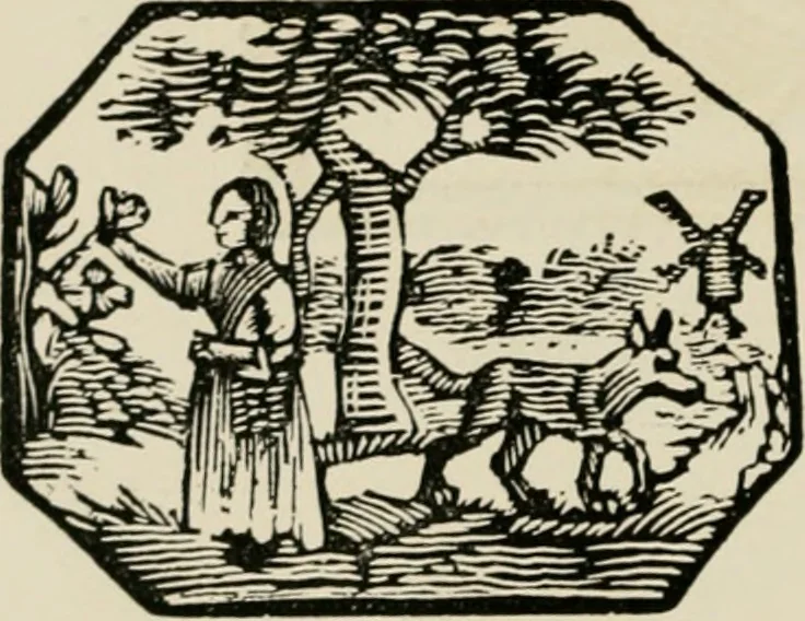 An illustration from Banbury chap books and nursery toy book literature [of the XVIII and early XIX centuries], 1890, leaf 29
