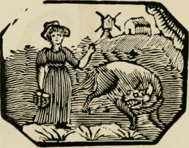 An illustration from Banbury chap books and nursery toy book literature [of the XVIII and early XIX centuries], 1890, leaf 29