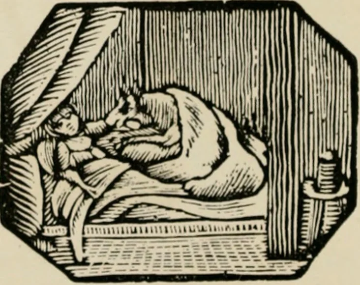 An illustration from Banbury chap books and nursery toy book literature [of the XVIII and early XIX centuries], 1890, leaf 29