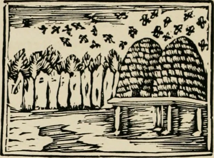 An illustration from Banbury chap books and nursery toy book literature [of the XVIII and early XIX centuries], 1890, leaf 43