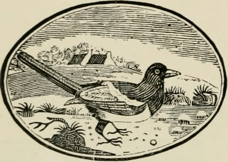 An illustration from Banbury chap books and nursery toy book literature [of the XVIII and early XIX centuries], 1890, leaf 49