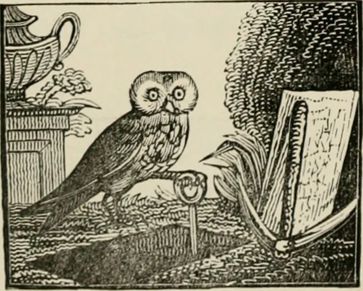 An illustration from Banbury chap books and nursery toy book literature [of the XVIII and early XIX centuries], 1890, leaf 49
