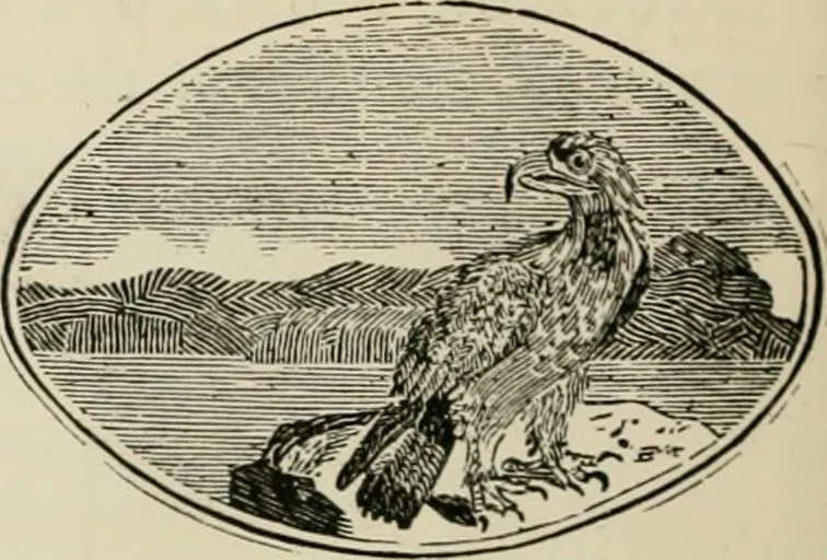 An illustration from Banbury chap books and nursery toy book literature [of the XVIII and early XIX centuries], 1890, leaf 49