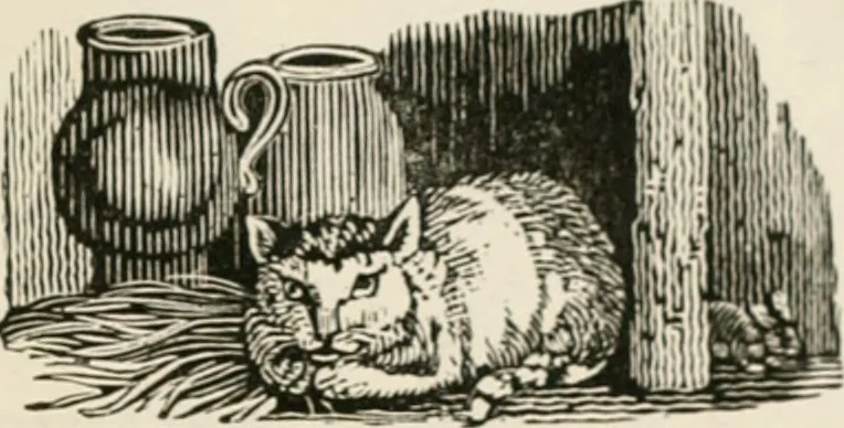 An illustration from Banbury chap books and nursery toy book literature [of the XVIII and early XIX centuries], 1890, leaf 54