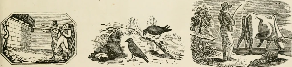 An illustration from Banbury chap books and nursery toy book literature [of the XVIII and early XIX centuries], 1890, leaf 56