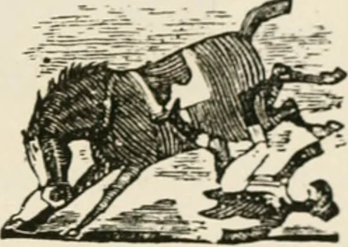 An illustration from Banbury chap books and nursery toy book literature [of the XVIII and early XIX centuries], 1890, leaf 58