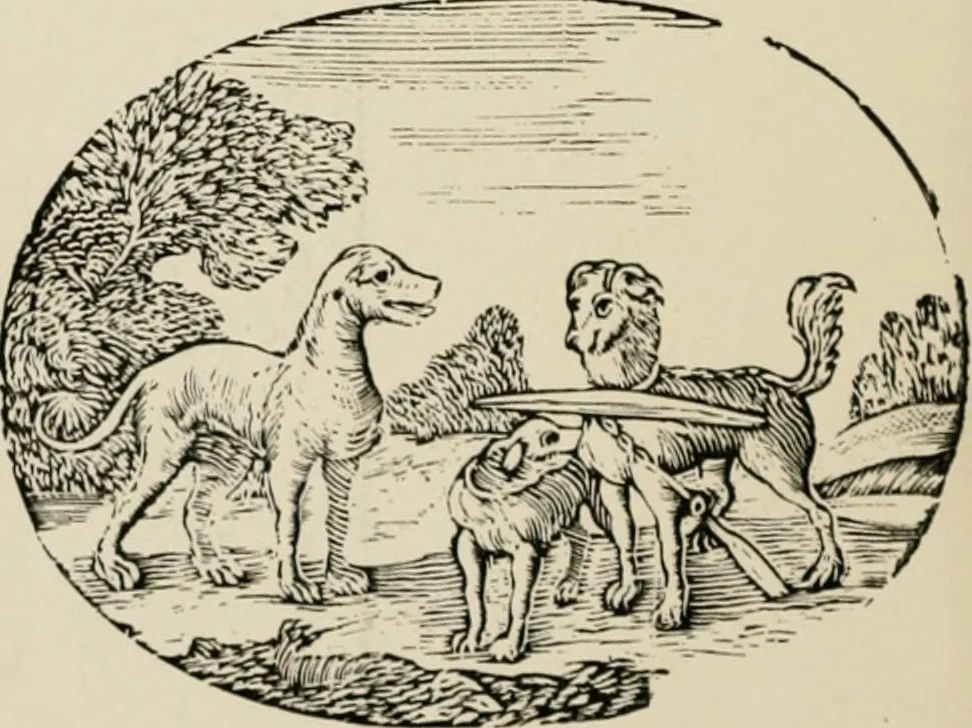 An illustration from Banbury chap books and nursery toy book literature [of the XVIII and early XIX centuries], 1890, leaf 65