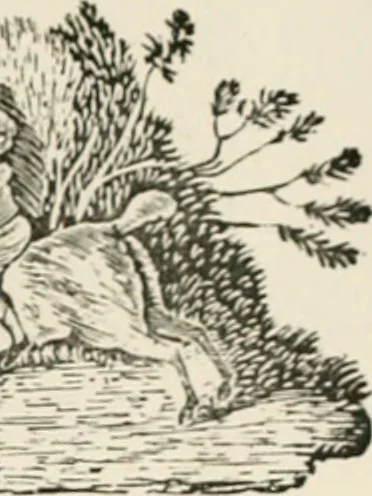 An illustration from Banbury chap books and nursery toy book literature [of the XVIII and early XIX centuries], 1890, leaf 68