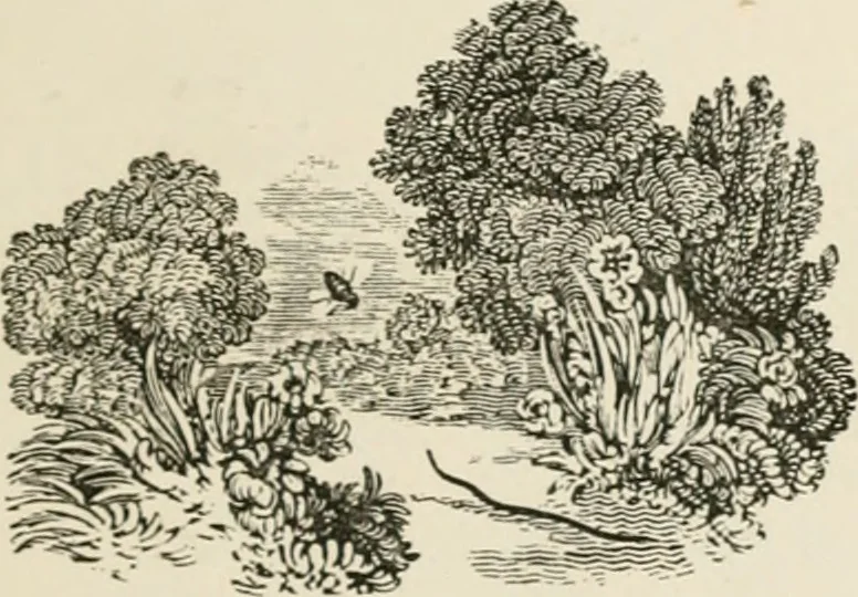An illustration from Banbury chap books and nursery toy book literature [of the XVIII and early XIX centuries], 1890, leaf 68