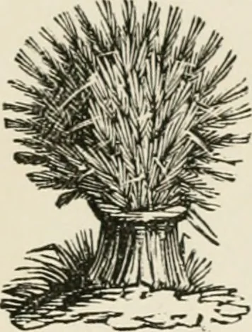 An illustration from Banbury chap books and nursery toy book literature [of the XVIII and early XIX centuries], 1890, leaf 70