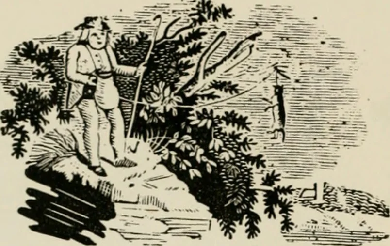 An illustration from Banbury chap books and nursery toy book literature [of the XVIII and early XIX centuries], 1890, leaf 73