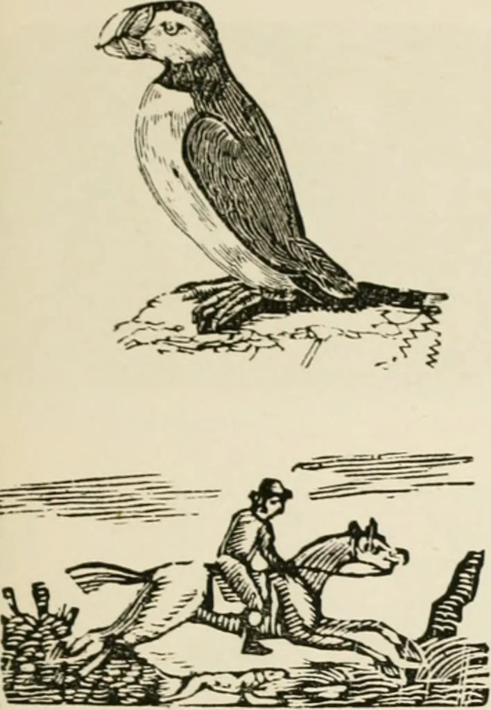 An illustration from Banbury chap books and nursery toy book literature [of the XVIII and early XIX centuries], 1890, leaf 78