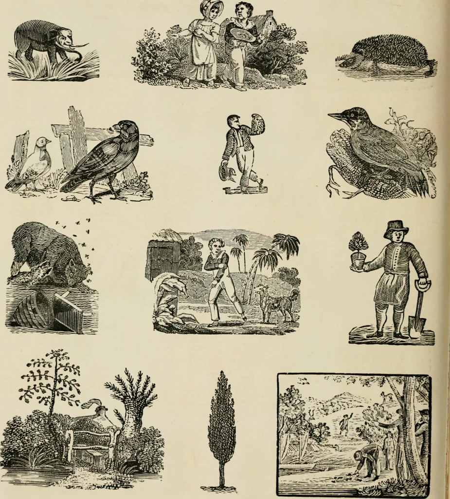 An illustration from Banbury chap books and nursery toy book literature [of the XVIII and early XIX centuries], 1890, leaf 87