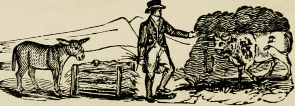 An illustration from Banbury chap books and nursery toy book literature [of the XVIII and early XIX centuries], 1890, leaf 95