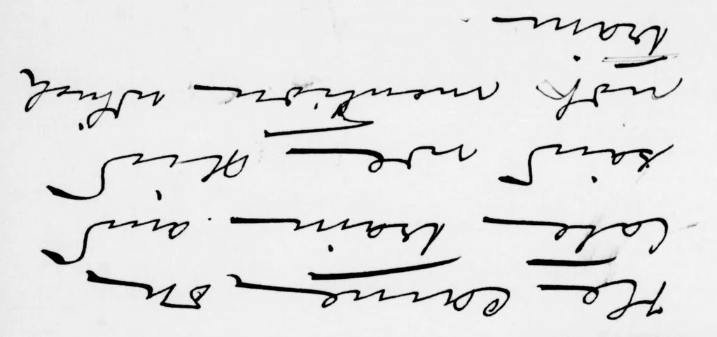 An illustration from George and Phoebe Apperson Hearst papers, 1849-1926, 1849, leaf 119