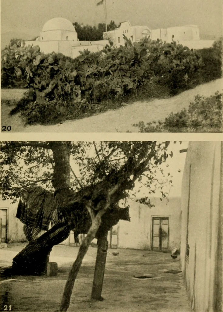 An illustration from The ban of the Bori; demons and demon-dancing in West and North Africa, 1914, leaf 252