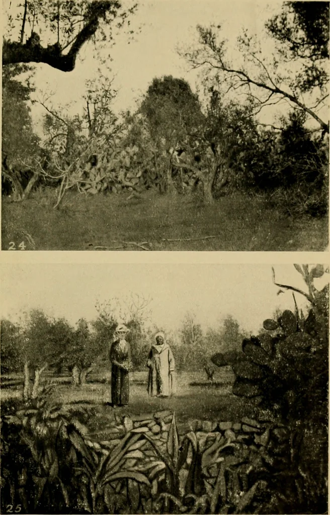 An illustration from The ban of the Bori; demons and demon-dancing in West and North Africa, 1914, leaf 260