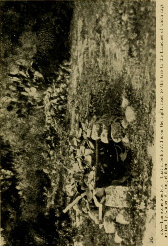 An illustration from The ban of the Bori; demons and demon-dancing in West and North Africa, 1914, leaf 266