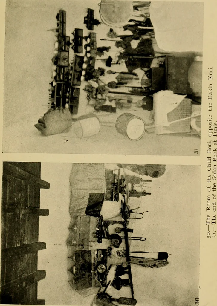 An illustration from The ban of the Bori; demons and demon-dancing in West and North Africa, 1914, leaf 312