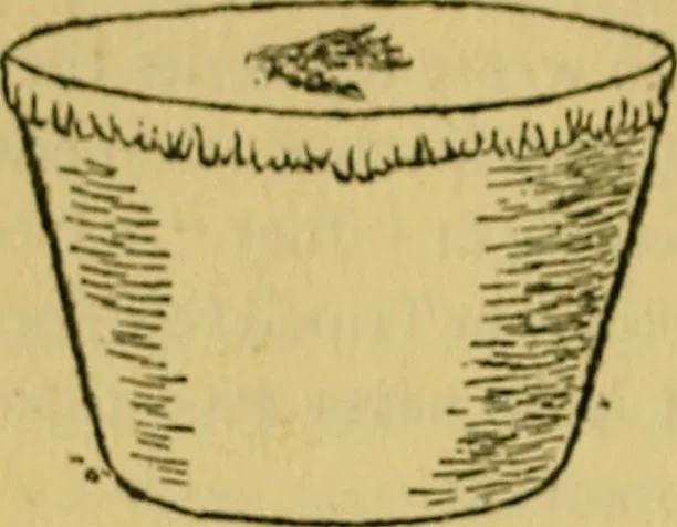 An illustration from The ban of the Bori; demons and demon-dancing in West and North Africa, 1914, leaf 321