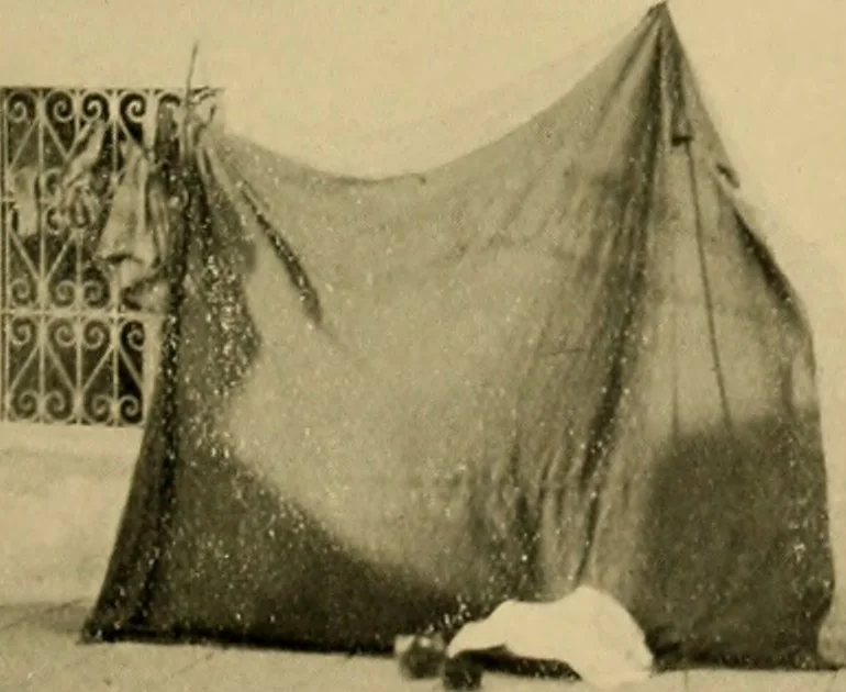 An illustration from The ban of the Bori; demons and demon-dancing in West and North Africa, 1914, leaf 324