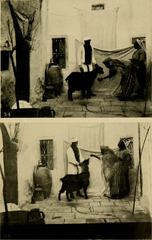 An illustration from The ban of the Bori; demons and demon-dancing in West and North Africa, 1914, leaf 328