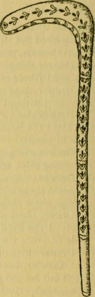 An illustration from The ban of the Bori; demons and demon-dancing in West and North Africa, 1914, leaf 383