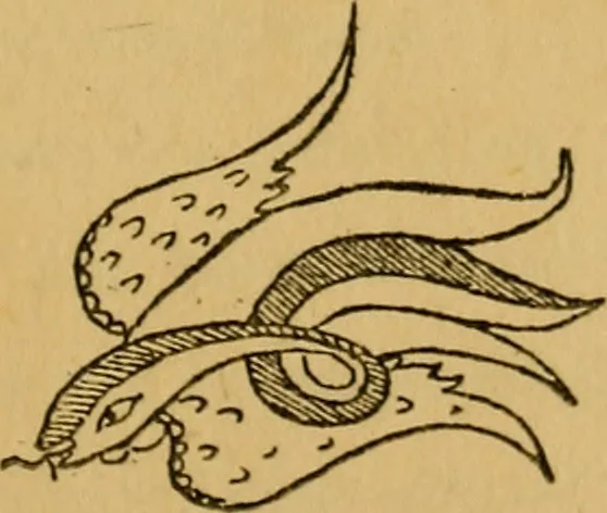 An illustration from The ban of the Bori; demons and demon-dancing in West and North Africa, 1914, leaf 8