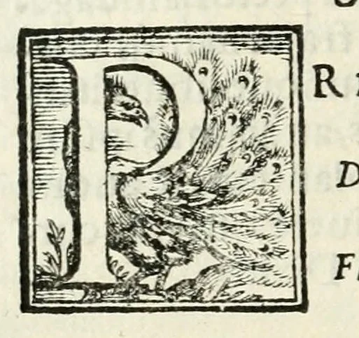 An illustration from Bap. Gvarini ivnior. in fvnere Aloysii Esten. Principis jllvstriss. et S. R. E. Card. ampliss. oratio, 1587, leaf 16