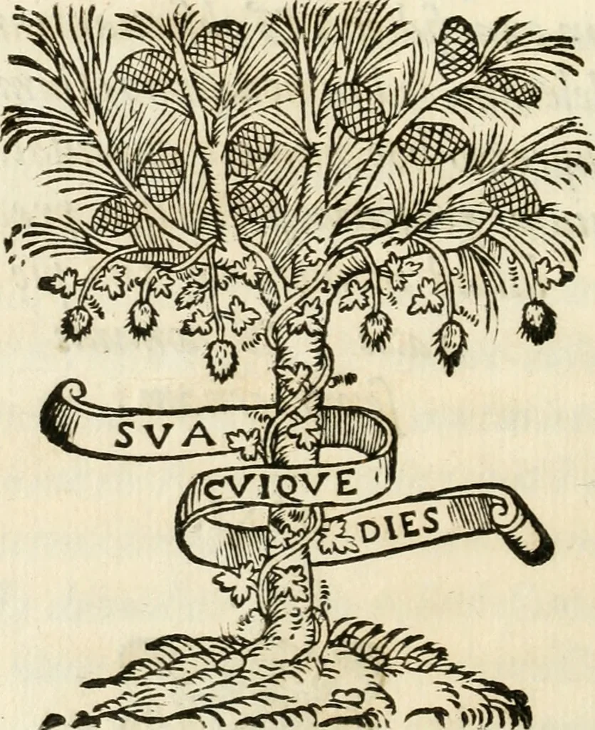 An illustration from Baptistae Gvarini ivn. oratio in fvnere invictiss. Imperat. Maximiliani II. Caes. Avg, 1577, leaf 23
