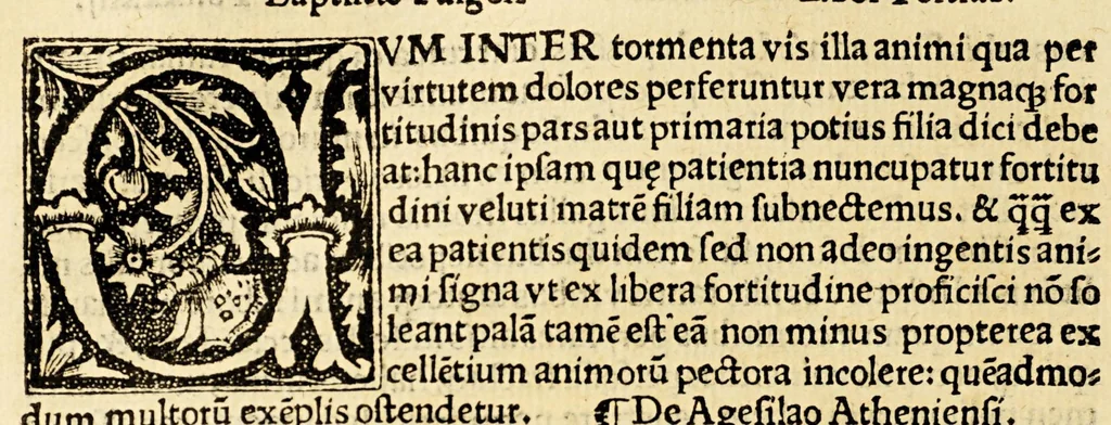 An illustration from Baptiste Fulgosi de dictis factisq[ue] memorabilibus collectanea, 1518, leaf 182